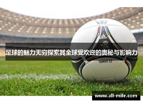 足球的魅力无穷探索其全球受欢迎的奥秘与影响力 足球的魅力无穷探索其全球受欢迎的奥秘与影响力