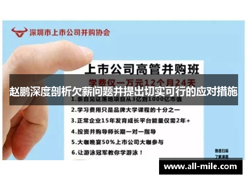 赵鹏深度剖析欠薪问题并提出切实可行的应对措施