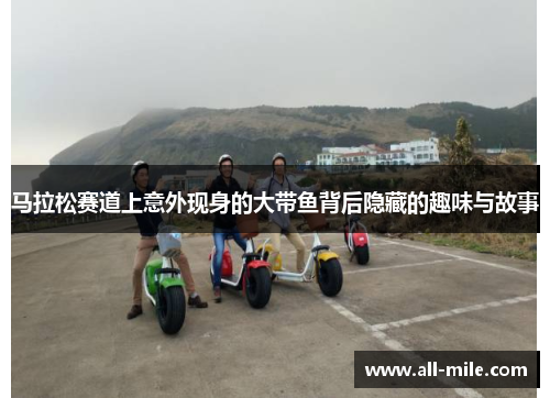 马拉松赛道上意外现身的大带鱼背后隐藏的趣味与故事