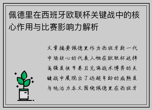 佩德里在西班牙欧联杯关键战中的核心作用与比赛影响力解析